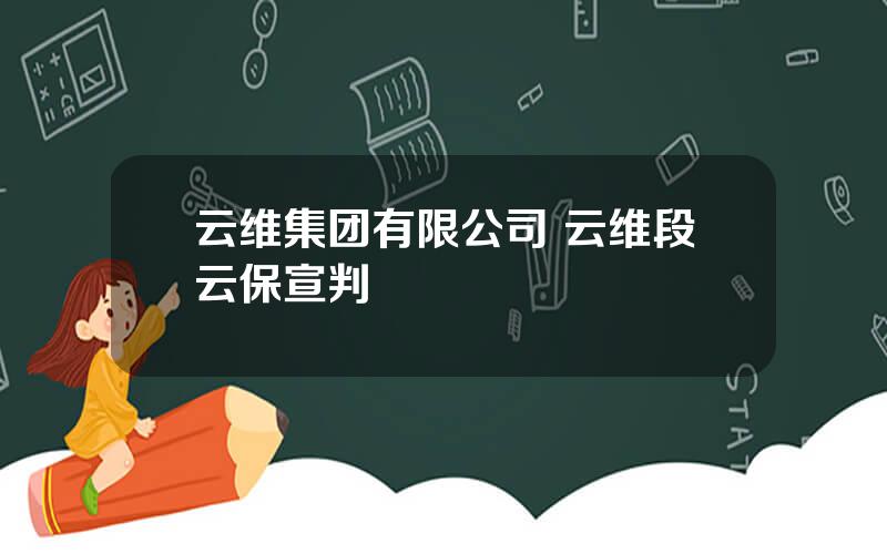 云维集团有限公司 云维段云保宣判